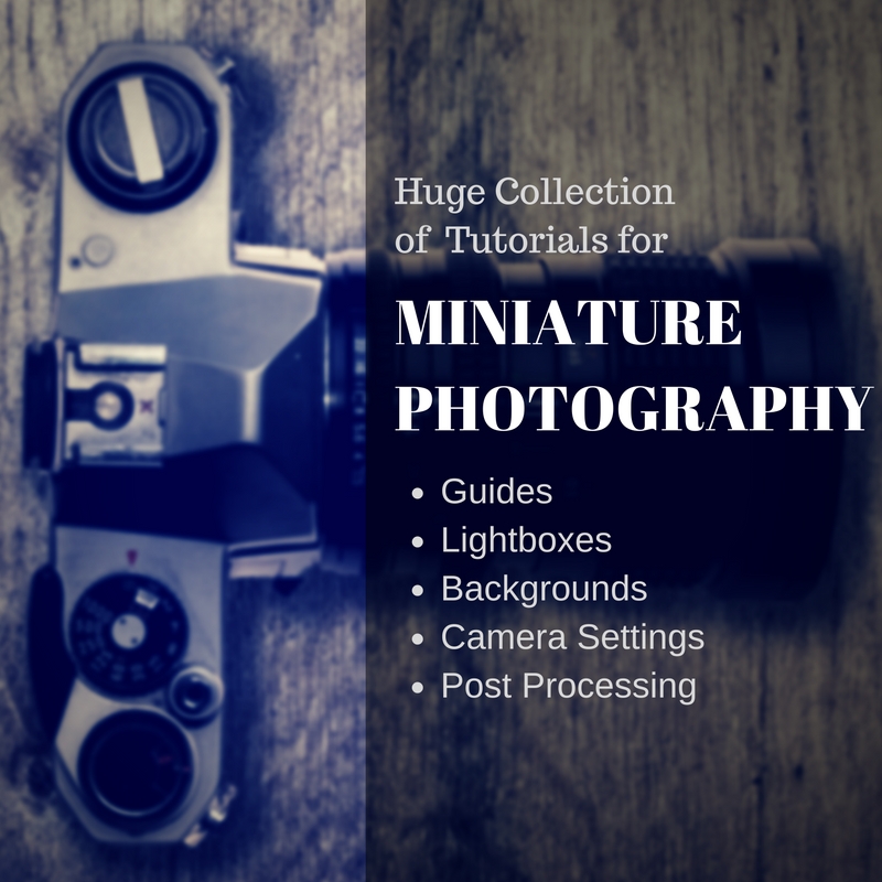 How to Photograph Your Mini